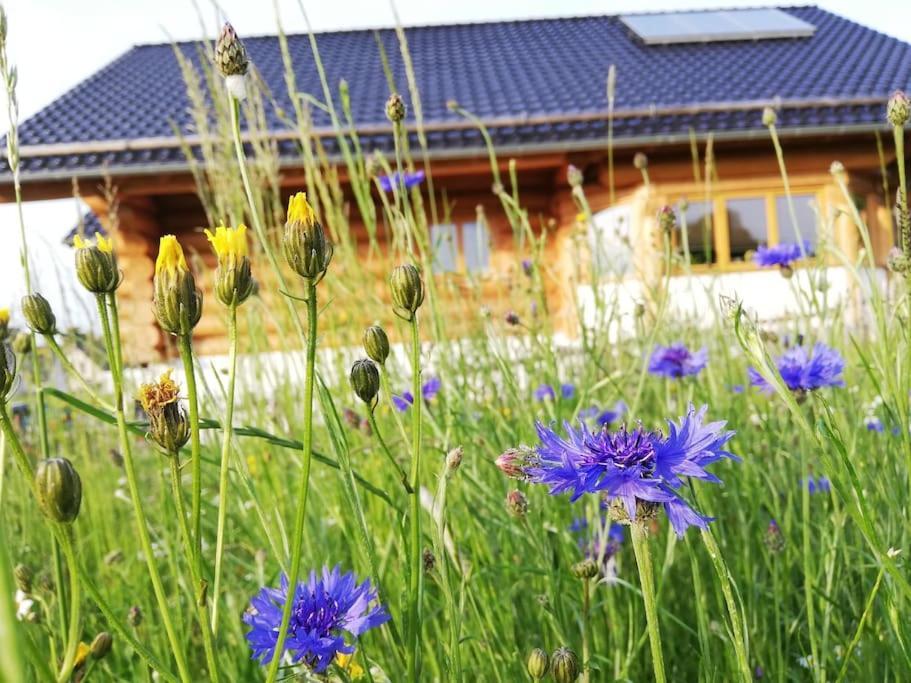 4 Sterne Ferienwohnung Stammzeit Nettersheim Zewnętrze zdjęcie